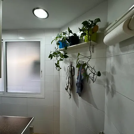 Russafa Codrut Apartamento