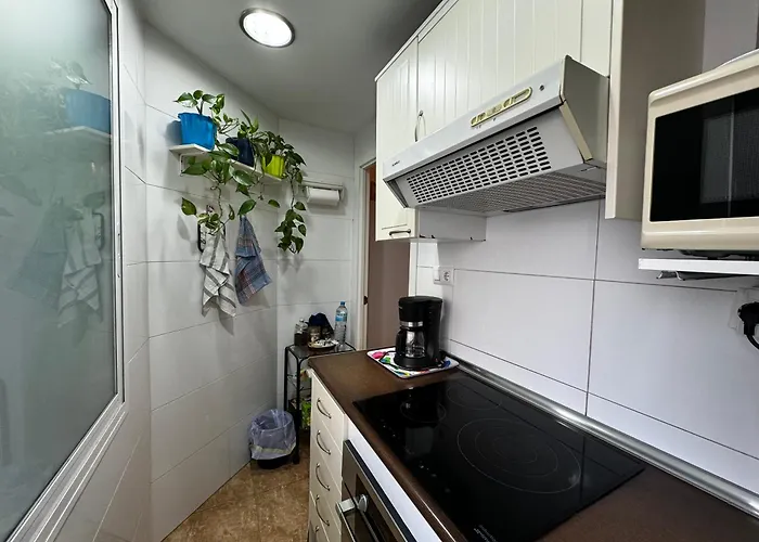 Apartmán Russafa Codrut